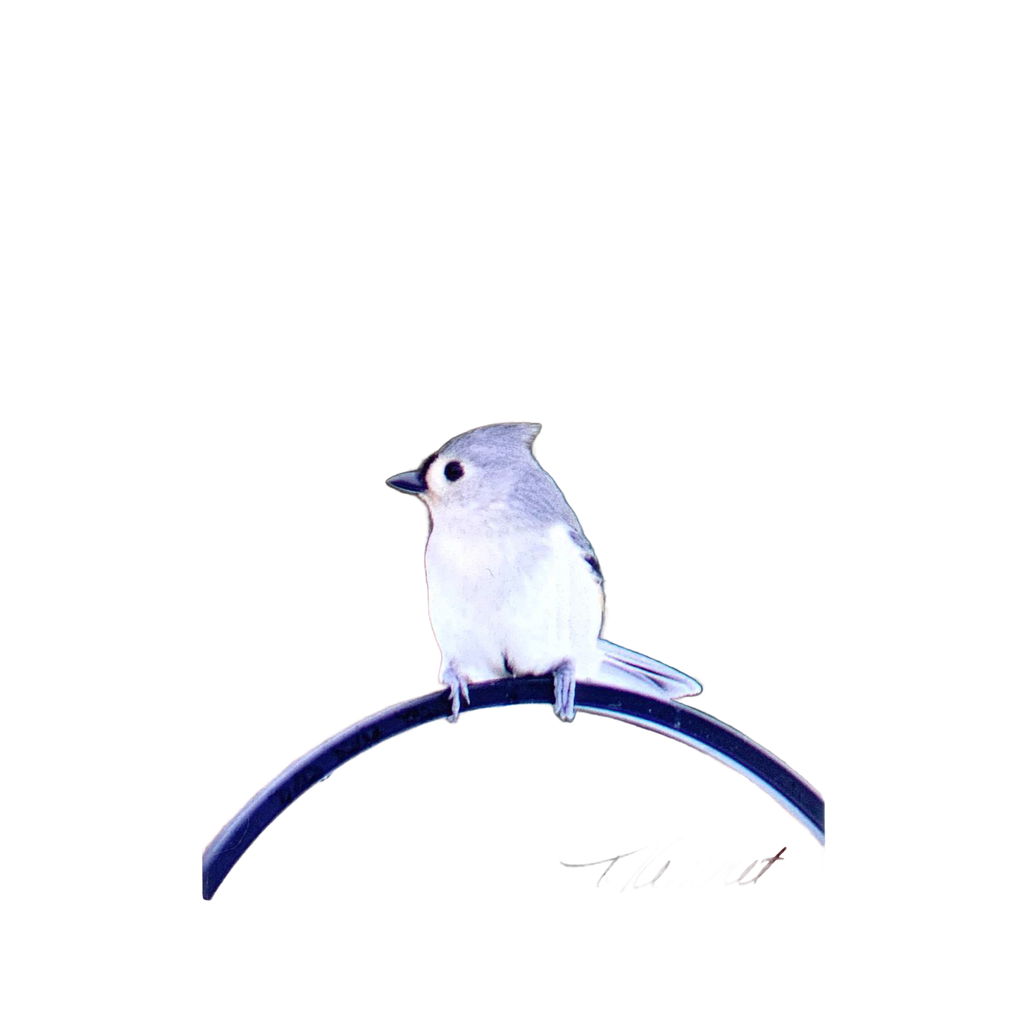 Handcrafted deluxe magnet featuring a serene tufted titmouse perched calmly, designed to inspire and brighten spaces in Home & Decor, Best Sellers, and Promo Eligible collections.