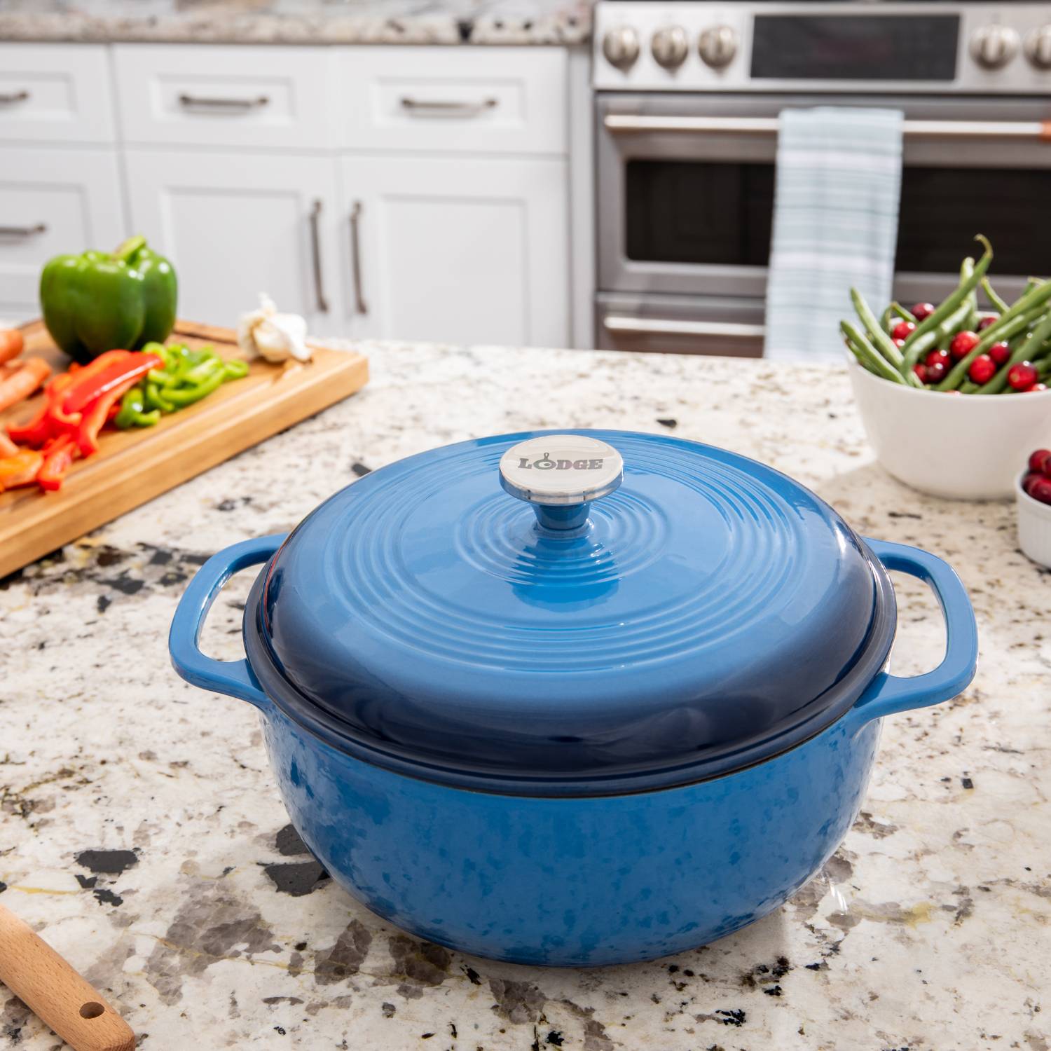 Lodge ENAMELED CAST IRON エナメル キャストアイアン Lodge Enameled Cast Iron 6qt Dutch Oven | Lehman's
