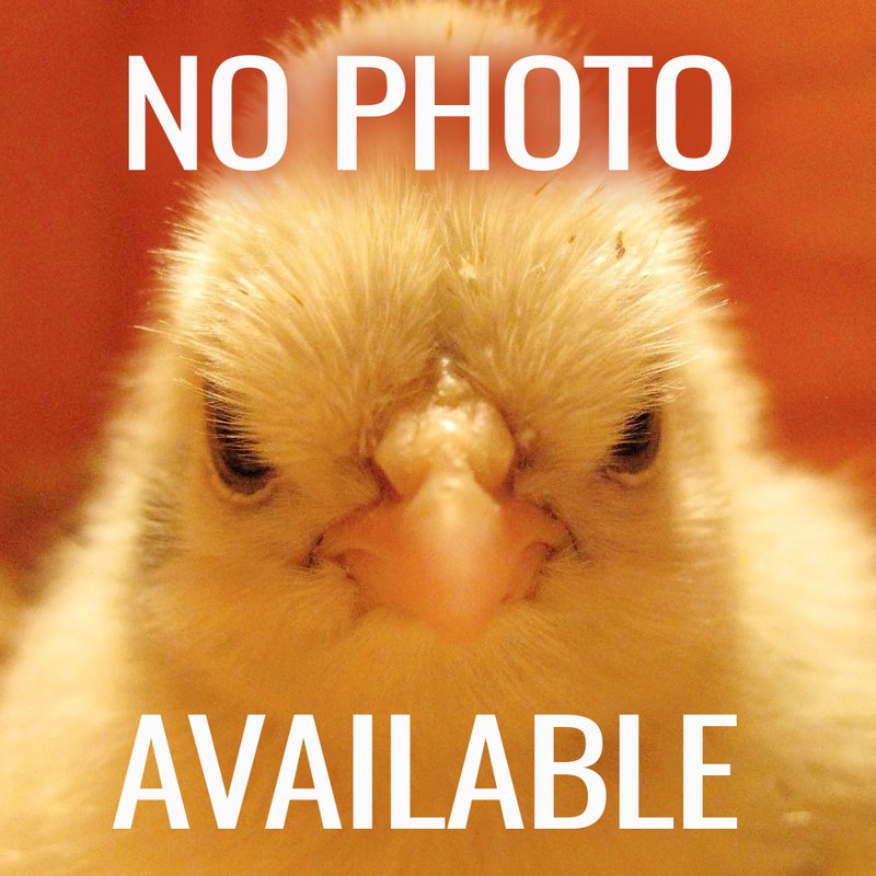 12 volt fan designed to improve airflow and eliminate odors in non-electric composting toilets, featured in Appliances, Composting Toilets, Best Sellers, and Promo Eligible collections.