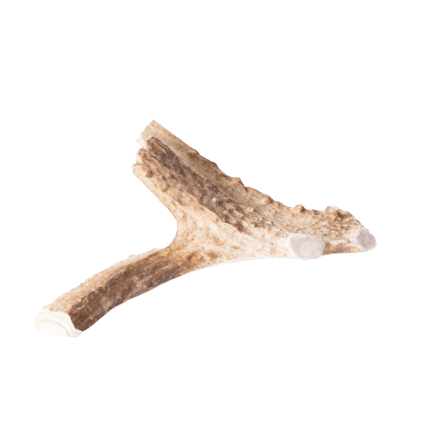 Natural split deer antler dog chew with textured surface and clean-cut ends, offering a long-lasting, odor-free, and additive-free treat in Pet Supplies and USA Made collections.
