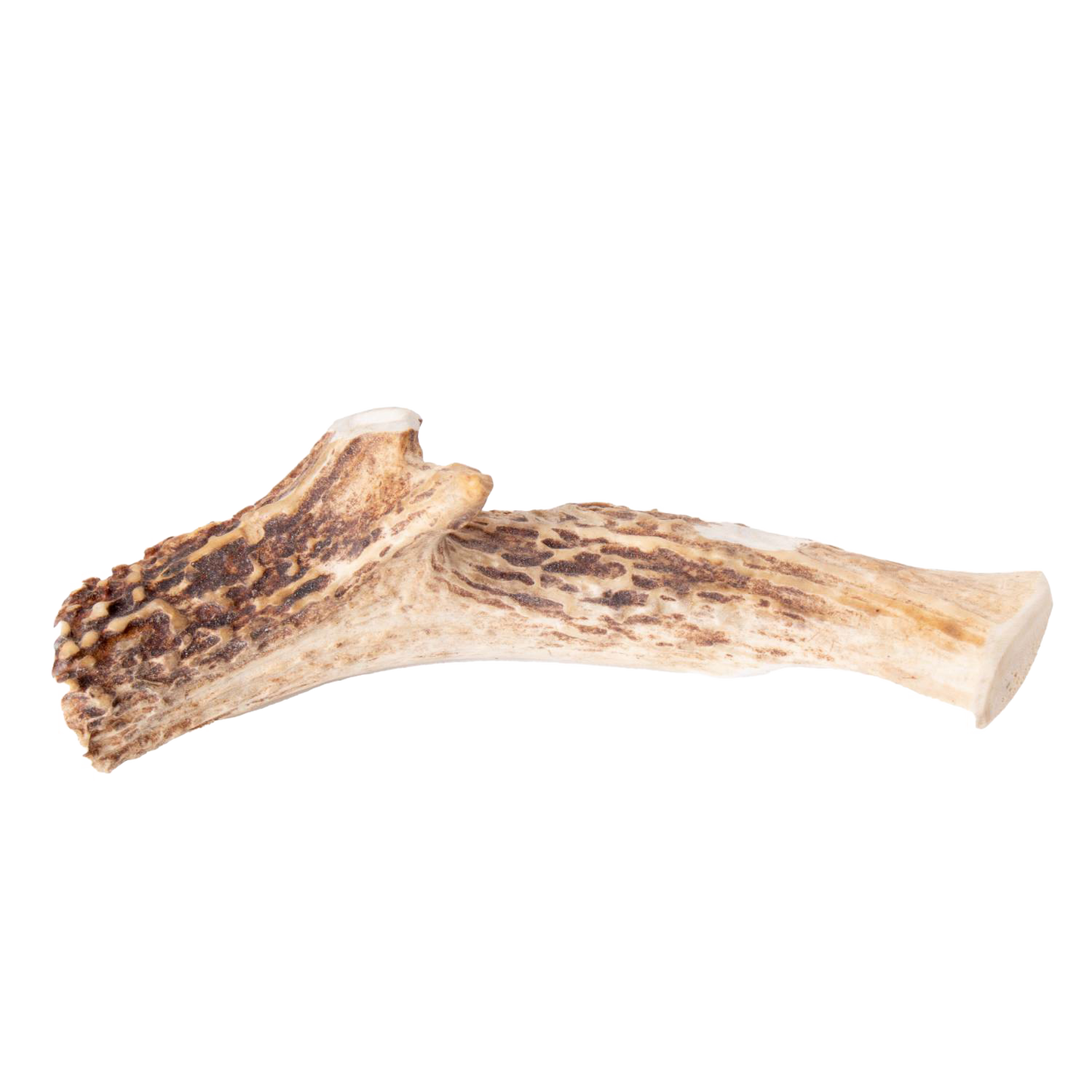 Handcrafted natural deer antler dog chew showcasing a durable, splinter-free texture, made in USA, featured in Pet Supplies, Home & Decor, Best Sellers, and Promo Eligible collections.