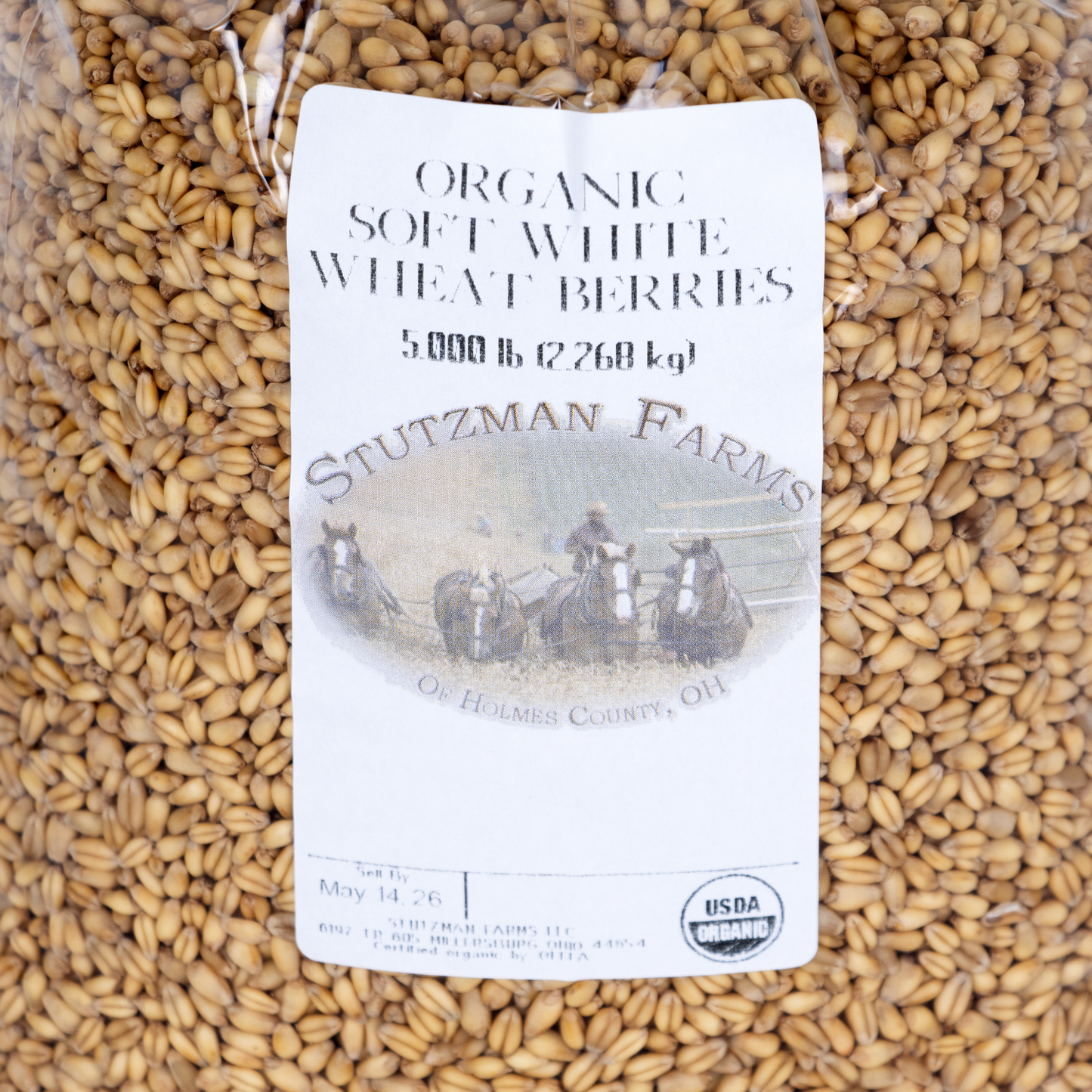 Stutzman Farms Soft White Wheat Berries - Pack of 2