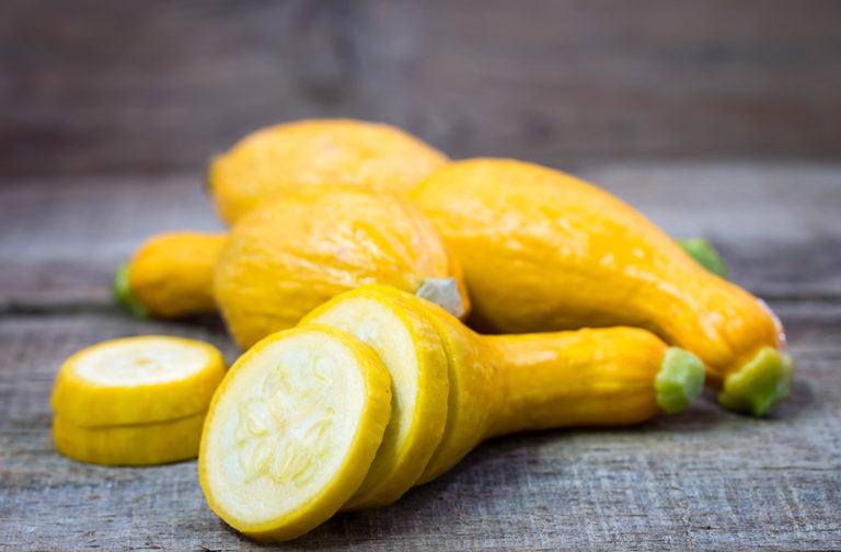 Excess Squash? Find Creative Ways to Enjoy!