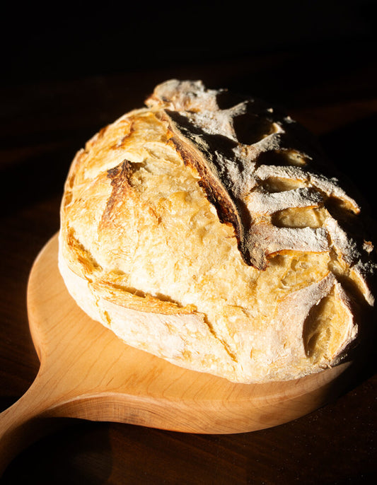 Sourdough Bread for Beginners: What I’ve Learned