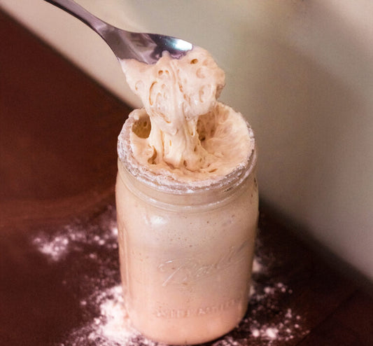 20 Delicious Ways to Use Sourdough Discard + Recipe!