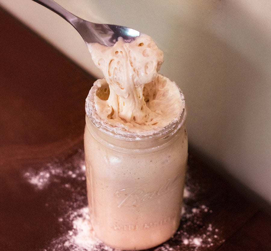 20 Delicious Ways to Use Sourdough Discard + Recipe!