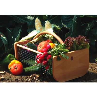 Harvest Time 'Cheat' Speeds Produce Production