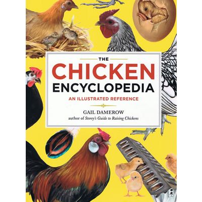 A Different Kind of Baby (Chick) Book