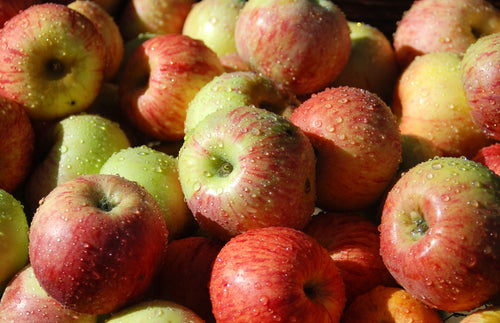 Squishing Your Own (Apples)