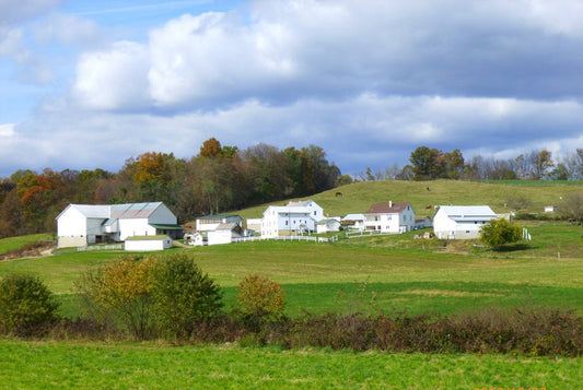 This Week in Amish Country: Ascension Day