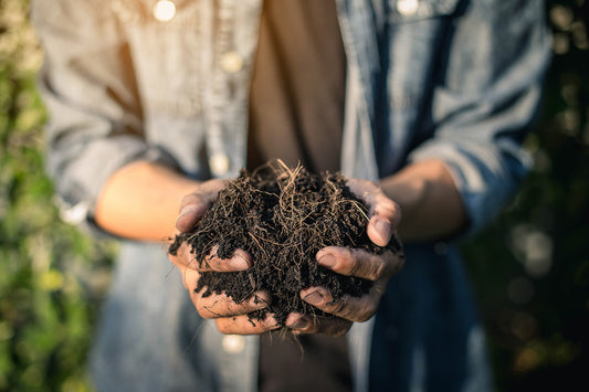 Living a Zero-Waste Lifestyle