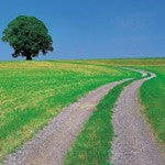 A Bedtime Story - On The Beaten Path