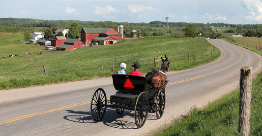 Experiencing Amish Culture in Kidron, Ohio: Bartering Traditions and Buggy Rides