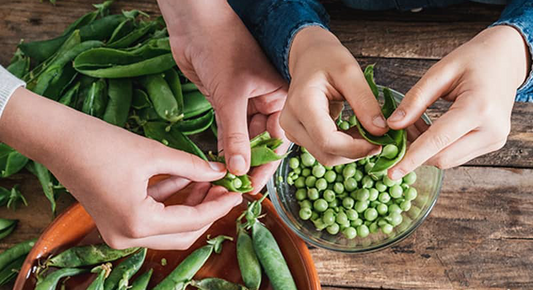 Food Preservation