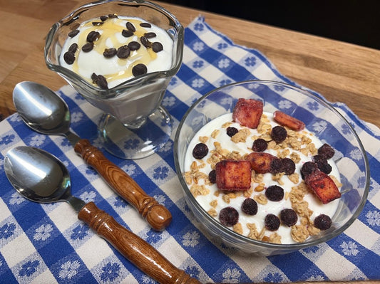 The Secret Life of Yogurt (with Recipes)