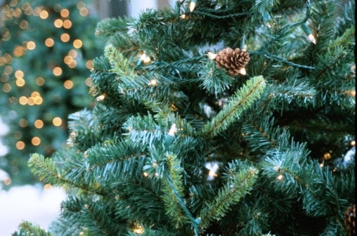 Decking Your Halls and Greening Your Christmas