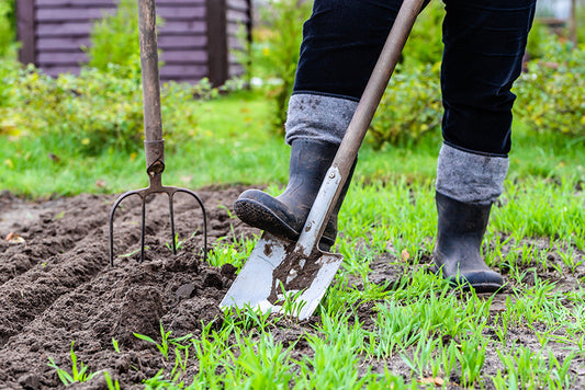 A Wish List for Novice Homesteaders