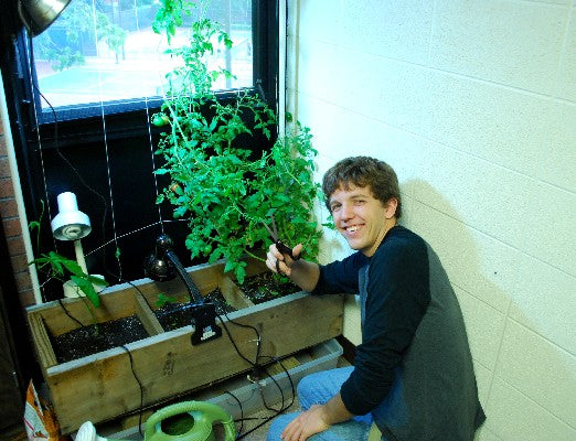 Dorm Room Garden, Part Deux