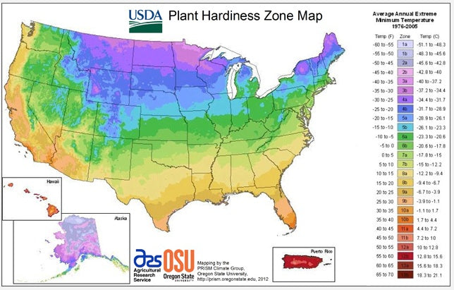 Dreaming of A Perfect Gardening Season