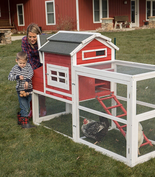 Top 10 Things You Should Know Before Raising Chickens