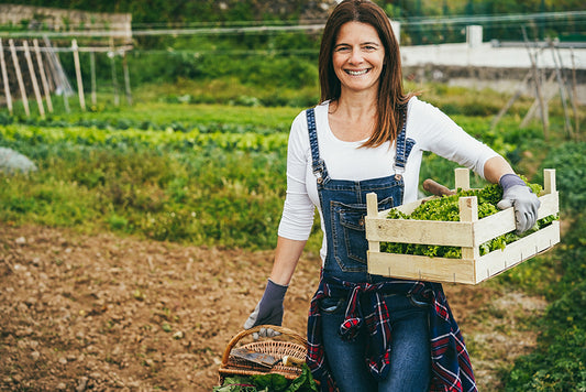 Using Hardiness Zones to Aid in Gardening