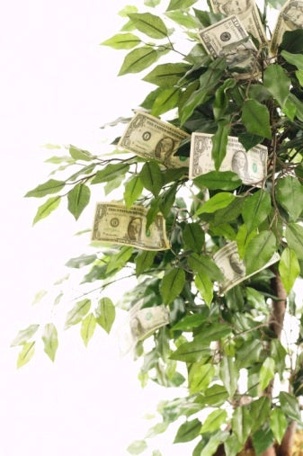 Fruits of Frugality