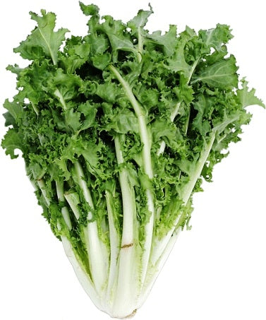 Garden Gluts, Rocketing Vegetables...and Pesto!