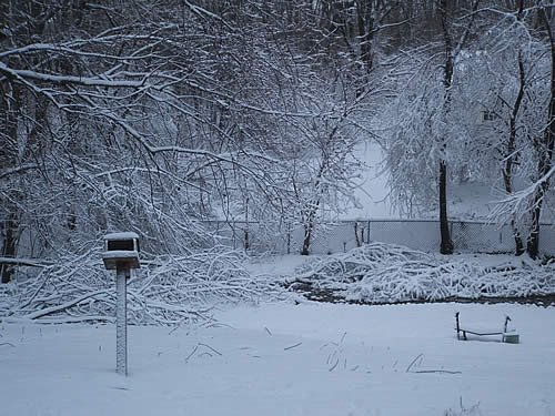 Garden Planning in the Dead of Winter