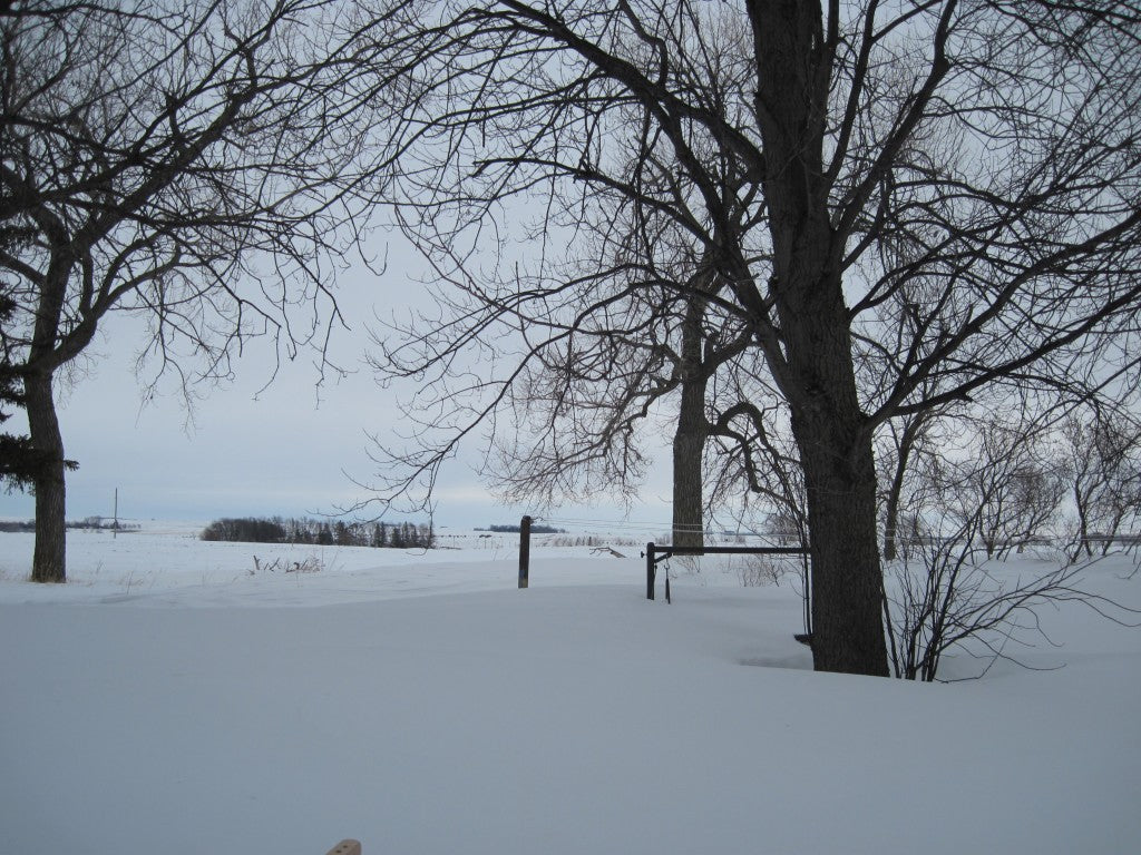 "Greening" Your Laundry - Even in Winter