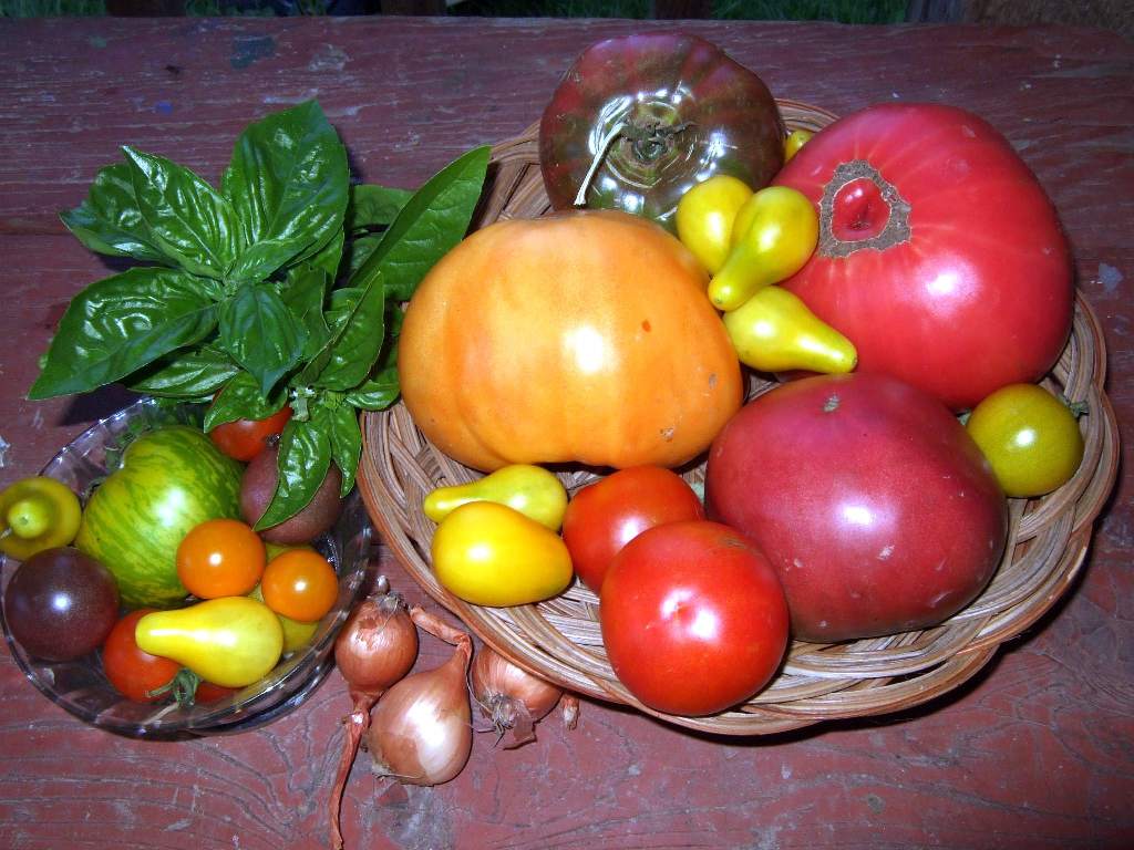 Heirloom Veggies: Jewels of the Garden