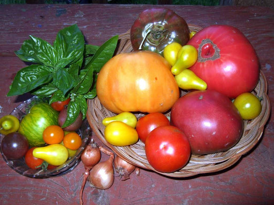 Heirloom Veggies: Jewels of the Garden