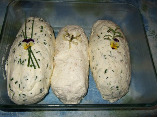 Home Cheese Creations - Learn How!