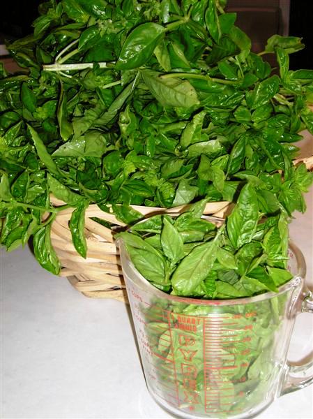 How To: Preserve Basil