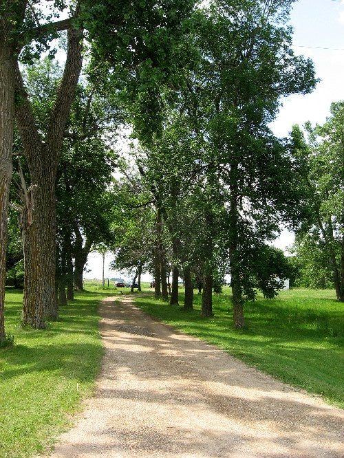 I love living in the country