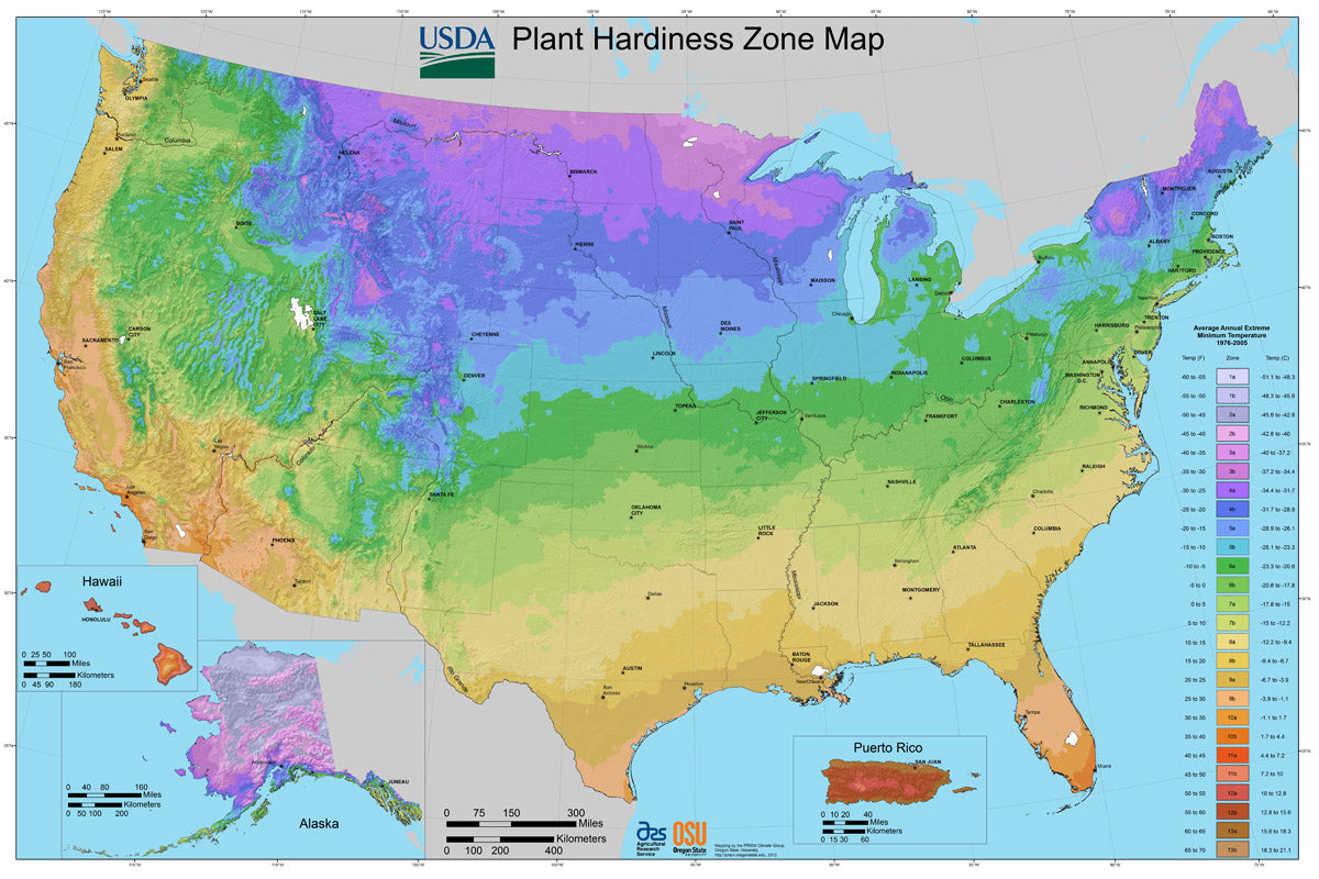 Know Your Zone! USDA Plant Hardiness Primer