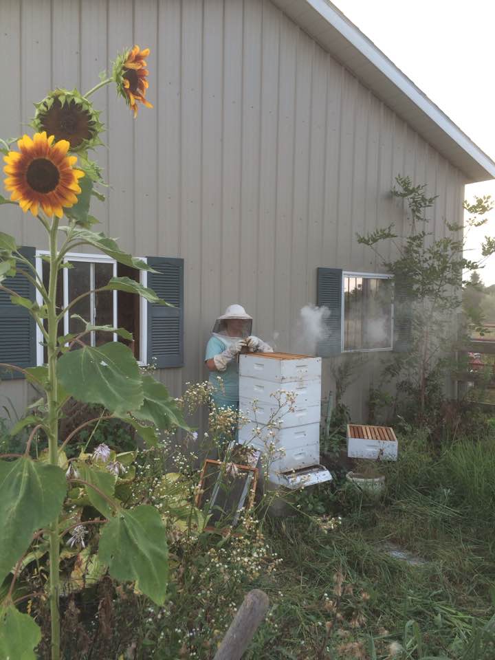 Lehman’s Beekeeper Gives You the Buzz on the 10 Best Beginner Products