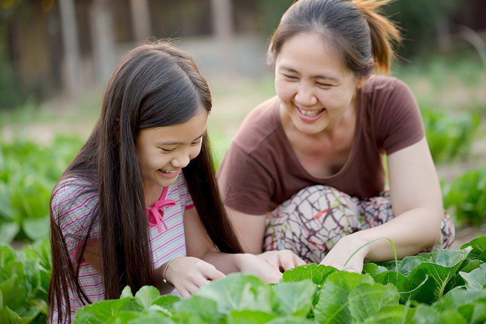 Win a $500 Garden (Soil Included)!