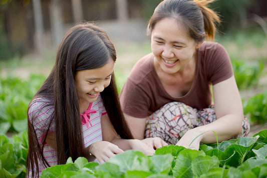 Win a $500 Garden (Soil Included)!