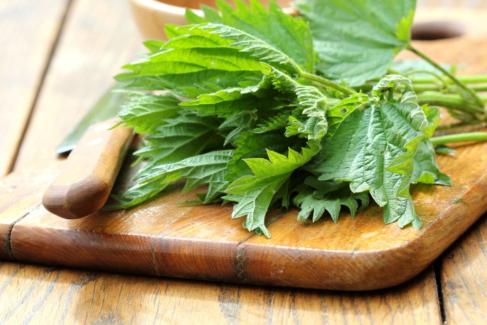 Irish spring foraging makes good-for-you cooking