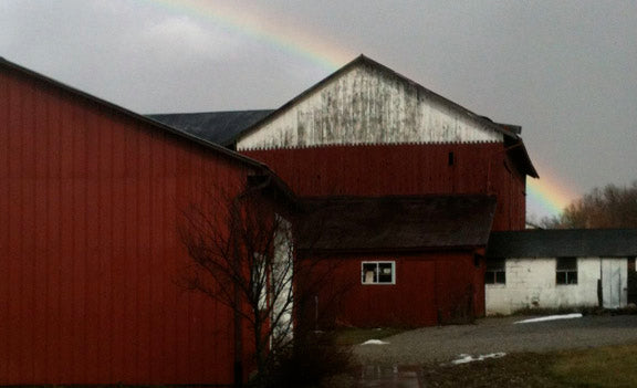 Part 1: An Amish Church Sunday
