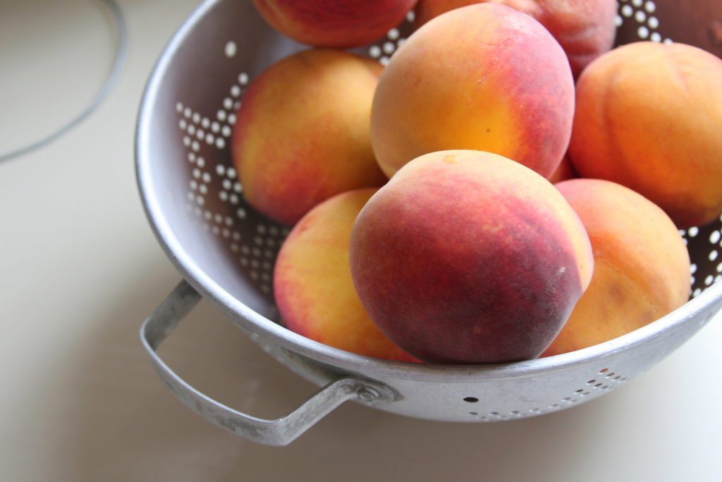 Startled by Peaches (+ Peach Salsa Recipe)
