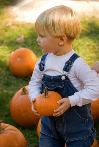 Pick the Perfect Pumpkin