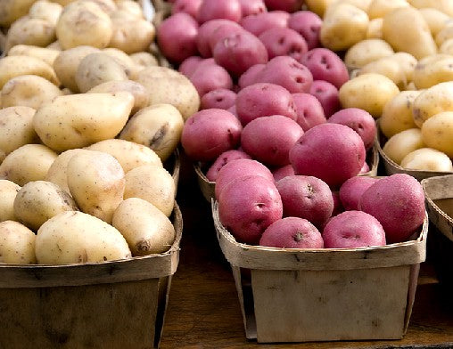 Easy How-To: Make Your Own Potato Flakes