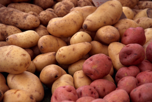 Preserving Nutrients for Winter