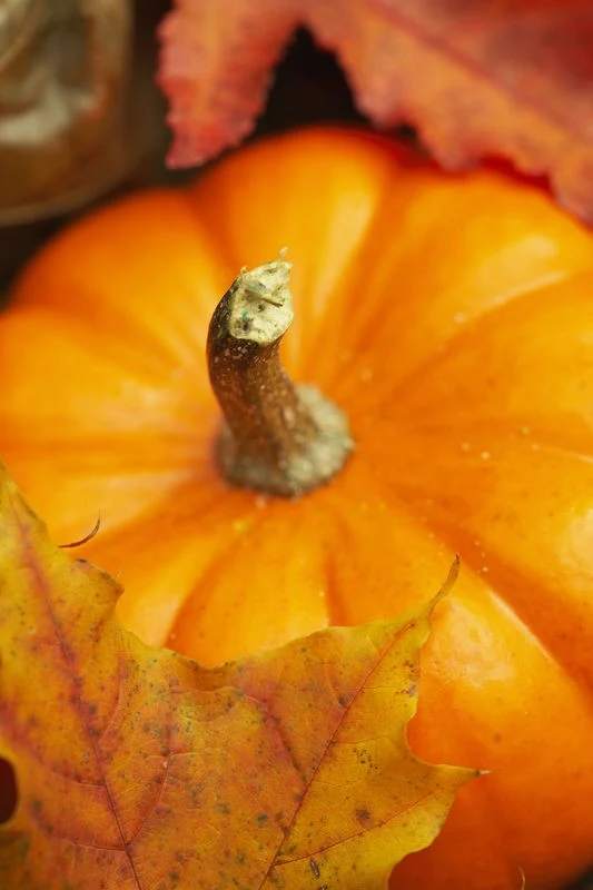 Pumpkin Bread