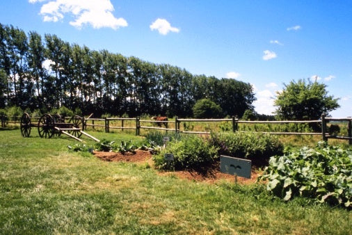 Putting The Garden to Bed for Winter
