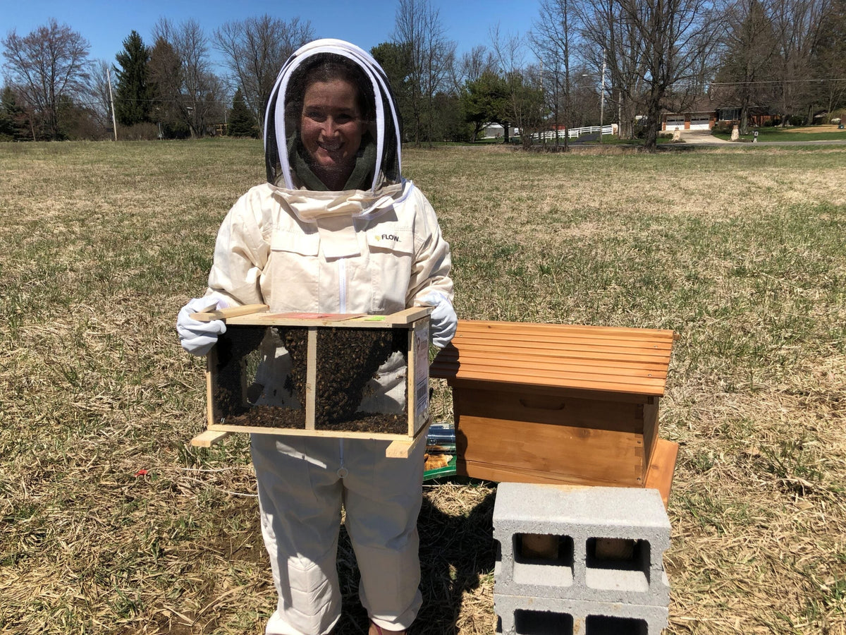 DIY Beekeeping for Beginners: How to Start and Care for Your Hive