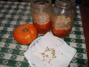 Seed Saving Season