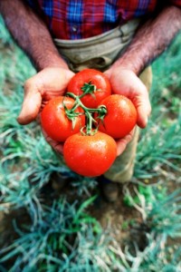 Seeding Community (and feeding them soup and cake)