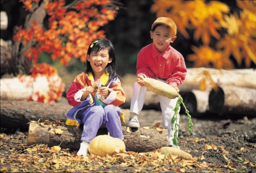 Simple, Fun Fall Crafts for Children